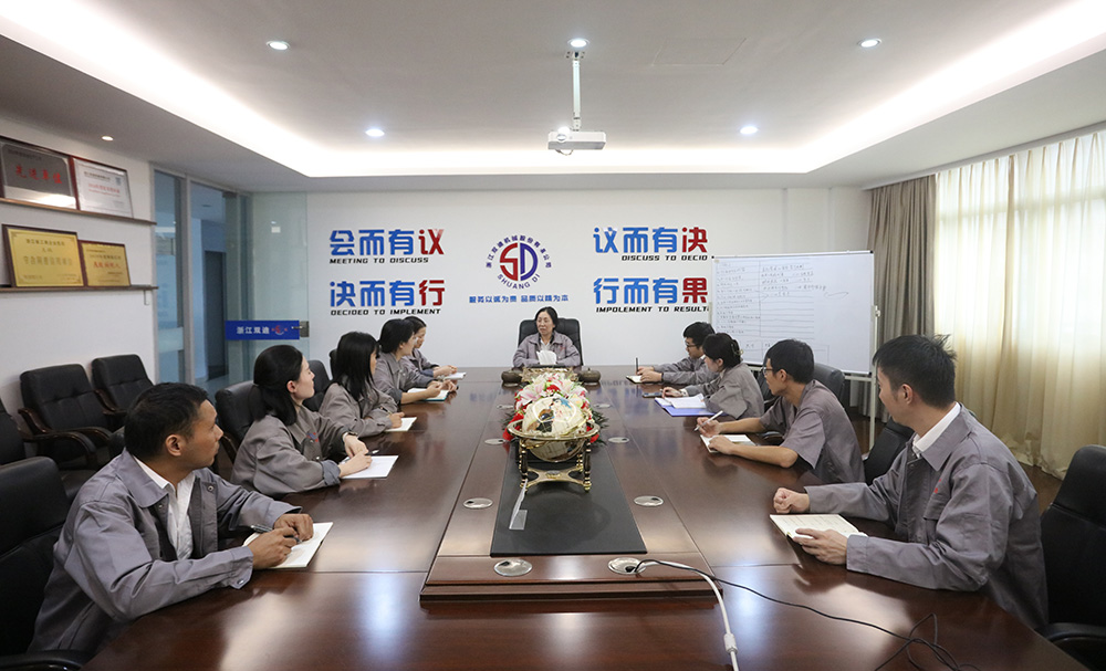 雙迪2024年10月企業生產計劃培訓